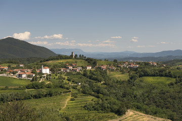 Naklejka premium vigneto in collina