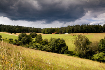 alpine cow farm in mountains before storm