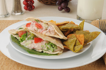 Tuna pita sandwich