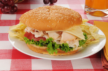 chicken sandwich and chips