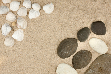 Fototapeta na wymiar sea shells,stones with sand as background