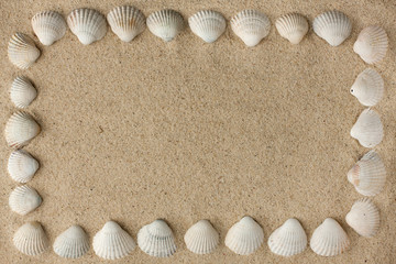 Frame made of sea shells on the sand