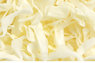 Fresh cabbage background