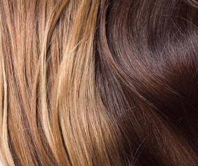 Fototapeta premium Natural blond and brown hair
