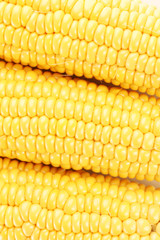 corn background