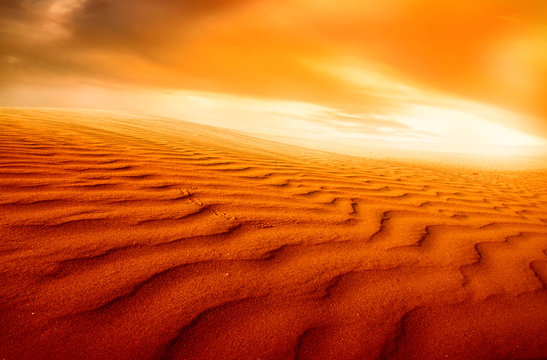 desert landscape,sunset