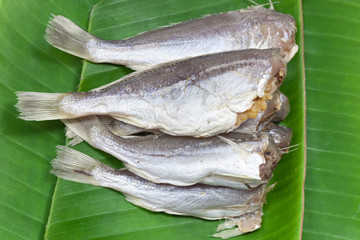 Salted fish
