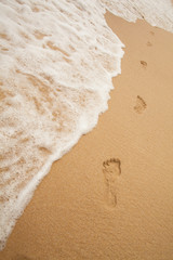 Footprints on sand of sea beach