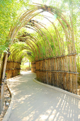 Bamboo way