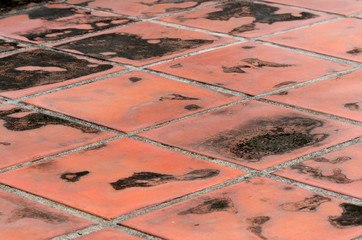 Old earthenware floor .