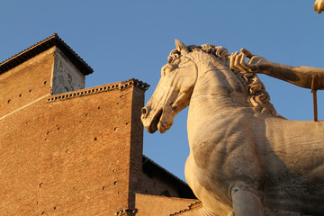 Cavallo, Campidoglio - Roma I