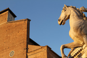 Cavallo, Campidoglio - Roma II