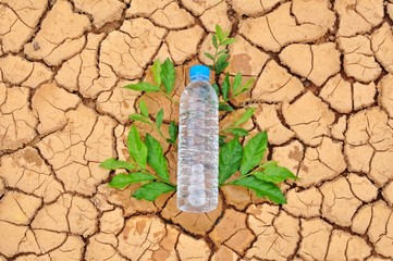 A water bottle on  cracked ground and leaves