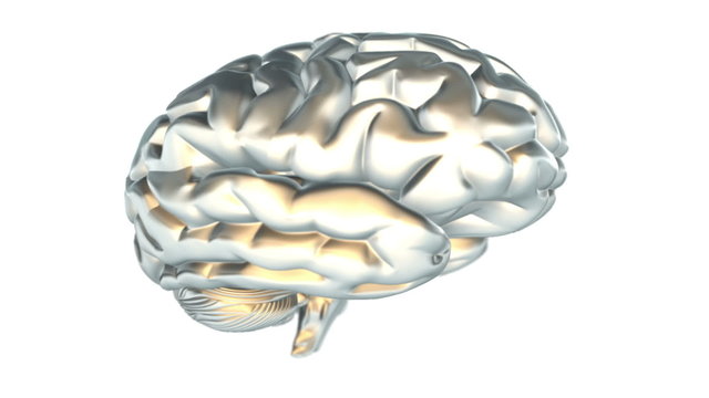 3D looping brain HD 1080