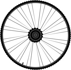 bike wheel with spokes and tire isolated on white background