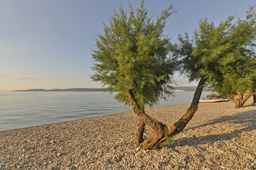 Chorwacja plaża i morze - obrazy, fototapety, plakaty