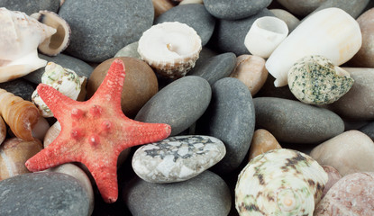 Fototapeta na wymiar Background with a red starfish