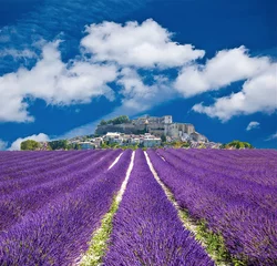 Foto op Plexiglas Lavendel in de Provence, Provençaals dorp in Frankrijk © Alexi Tauzin