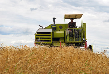 Obraz premium combine harvesting