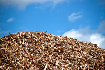 Pile of biomass