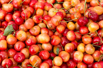 Queen Anne cherries