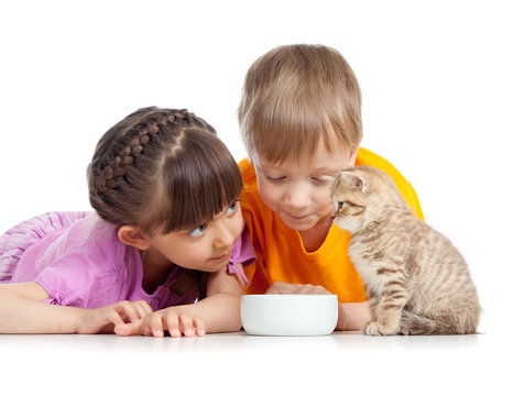children boy and girl with young cat