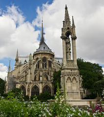 Fototapeta na wymiar Notre Dame w Fountain