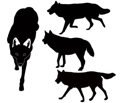 wolves animals vector isolated on white background