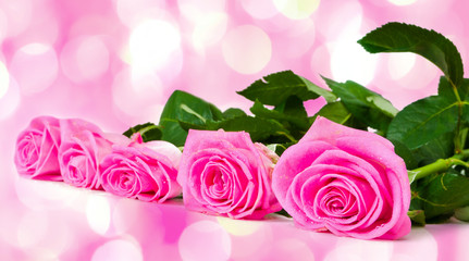 bouquet of beautiful pink roses