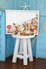 Seashells collection on white frame
