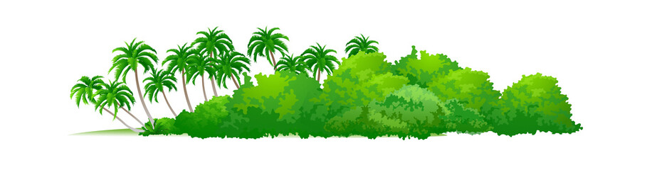 Fototapeta na wymiar vector icon palm tree and bush