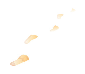 vector icon foot print
