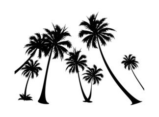 vector icon palm tree silhuoette