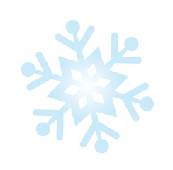 vector icon snow