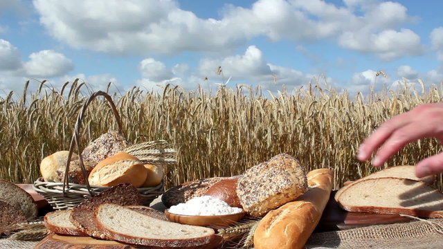 Brot und Getreide