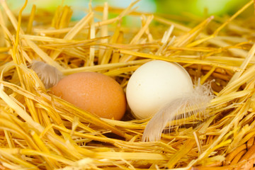 white and brown eggs in a wicker bascet on straw on close-up