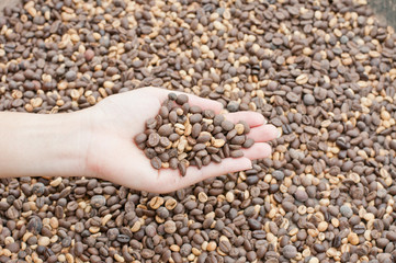 Handful of a coffee