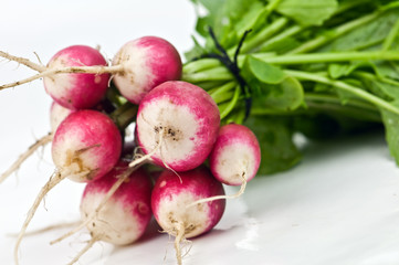 radish