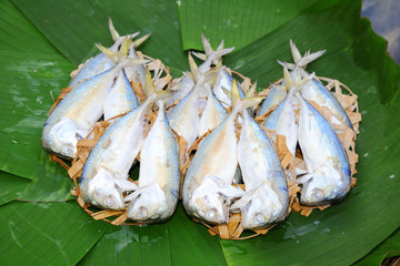 Chub mackerel on the bamboo mesh and banana leaf.