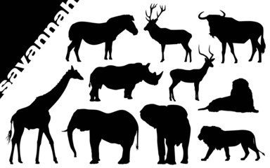 Savanna silhouette