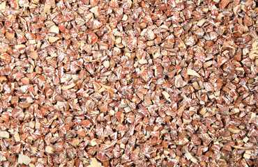 The cut Betel nut or Areca catechu