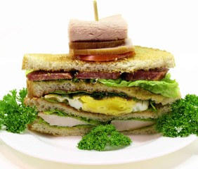 big sandwich