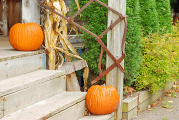 pumpkins on the front steps