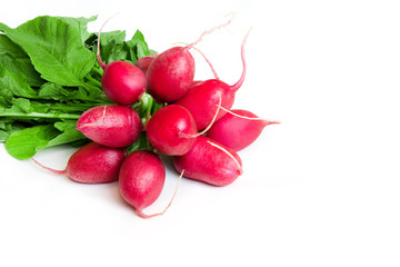 radish isolated on white