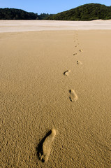 Footprints in Te Paki Sand Dunes