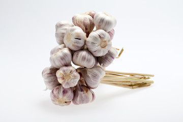 fresh garlic  on white background