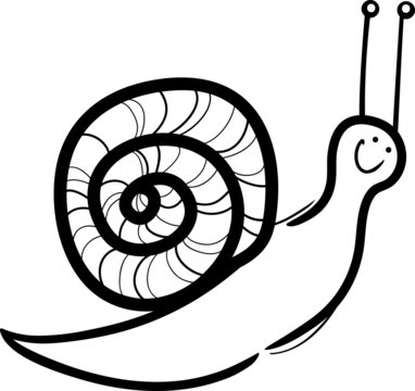 snail cartoon illustration for coloring