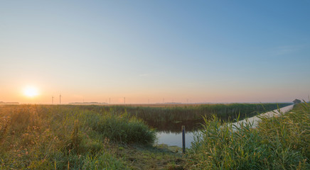 Sunrise over a canal in summer