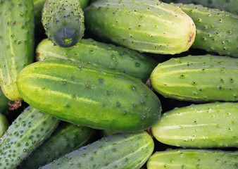 Cucumbers