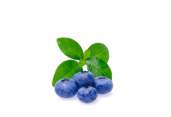 Bilberries